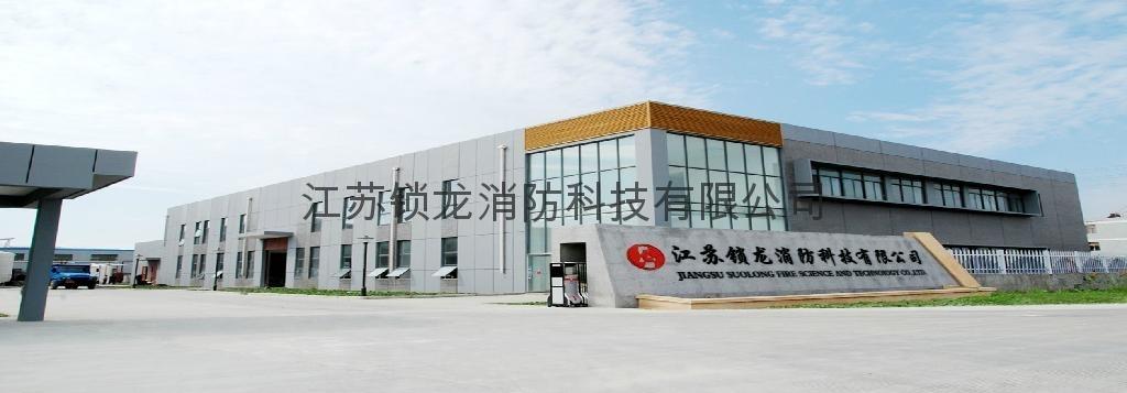 兴化锁龙消防药剂 守护安全的专业力量